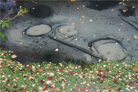 p0000237.jpg (44395 bytes)