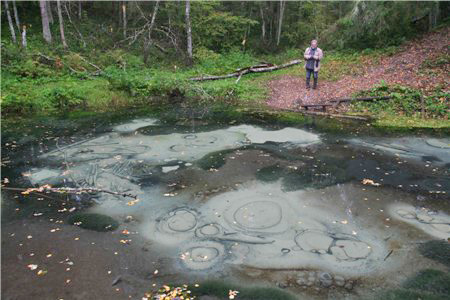 p0000239.jpg (74228 bytes)